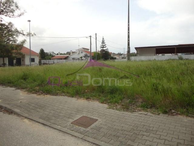 Torres Novas Torres Novas 101213243