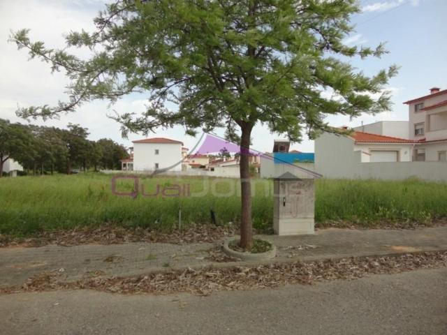 Torres Novas Torres Novas 101213245