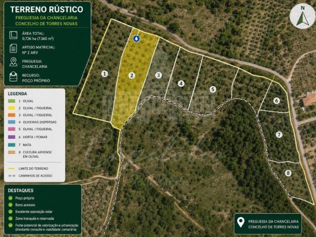 Torres Novas Torres Novas 101920571