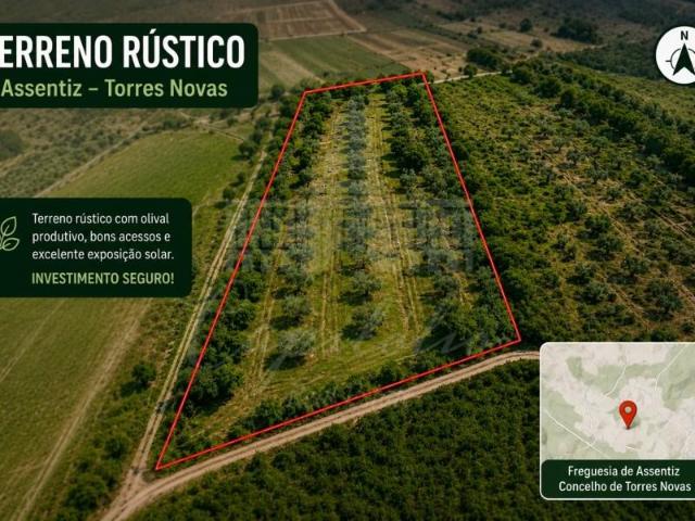 Torres Novas Torres Novas 101920574