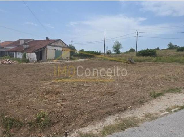 Torres Novas Torres Novas 102723061
