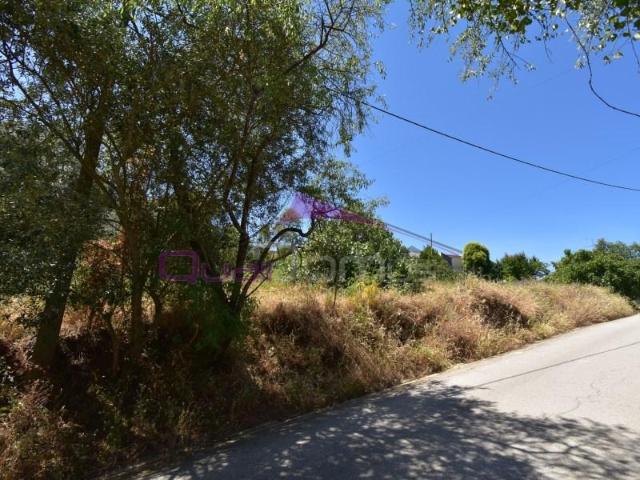 Torres Novas Torres Novas 102978882