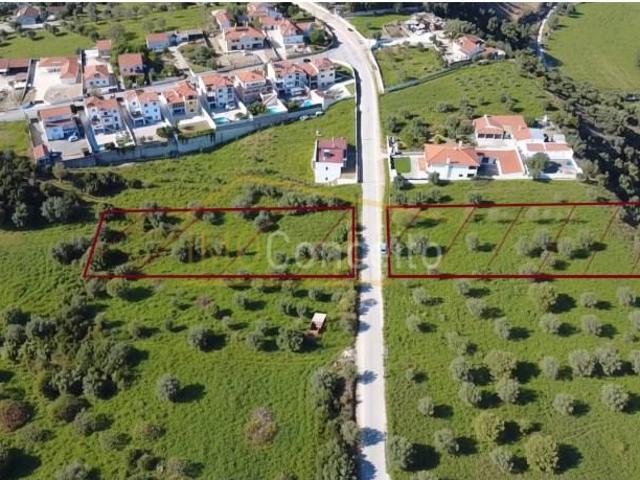 Torres Novas Torres Novas 2350 105 100424491
