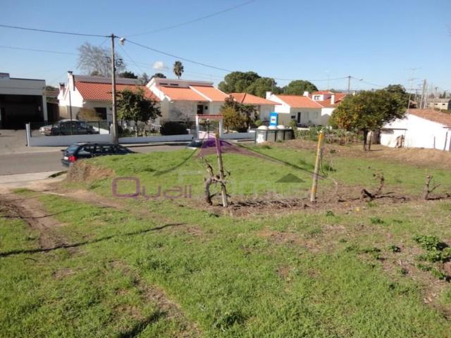Torres Novas Torres Novas 95095224