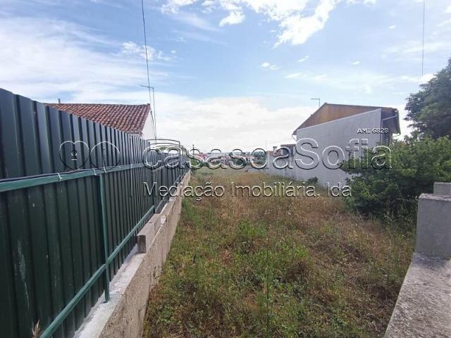 Torres Novas Torres Novas 97015803