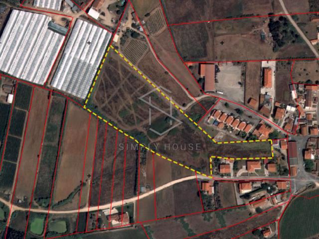 Torres Vedras Lisboa 89870431