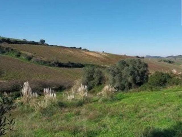 Torres Vedras Lisboa 93946646