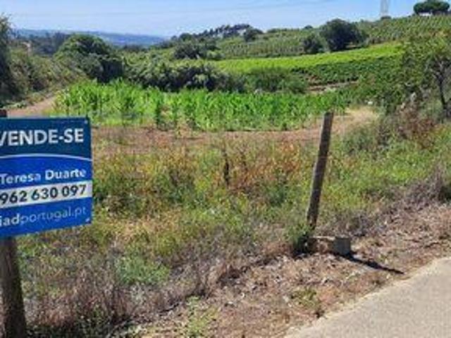 Torres Vedras Lisboa 102311750