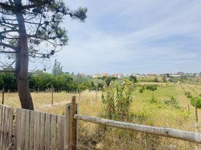 Torres Vedras Lisboa 103599329