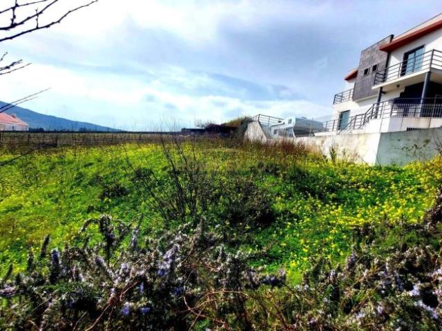 Torres Vedras Lisboa LS99717933