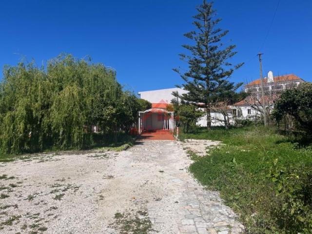 Torres Vedras Torres Vedras 102558440