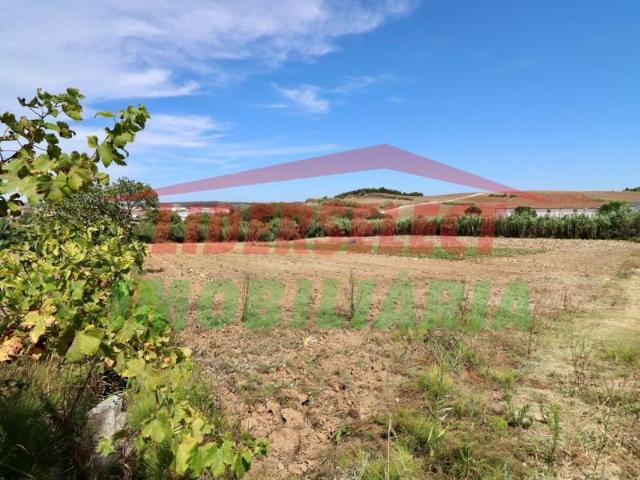 Torres Vedras Torres Vedras 90670166