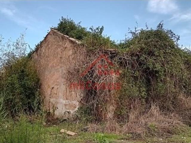 Torres Vedras Torres Vedras 96085357