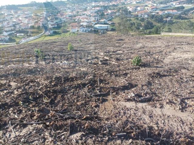 Torres Vedras Torres Vedras 96202581