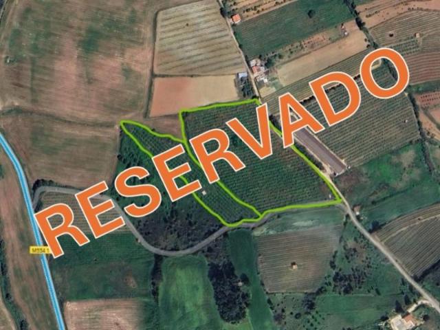Torres Vedras Torres Vedras 97117672