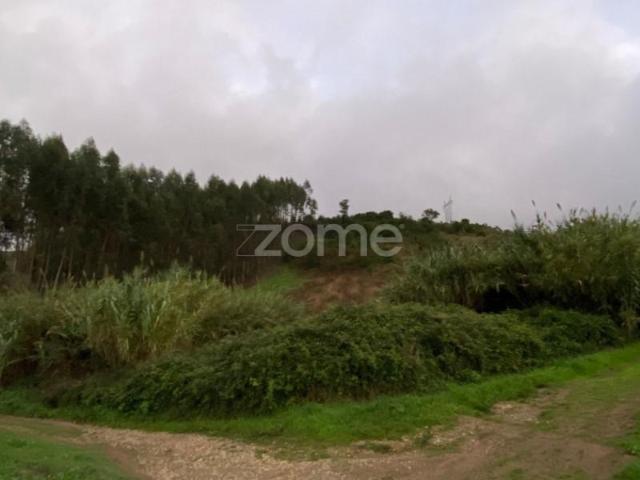 Torres Vedras Torres Vedras 98568003