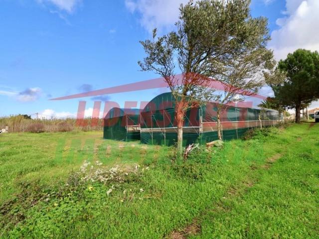 Torres Vedras Torres Vedras LS100610552