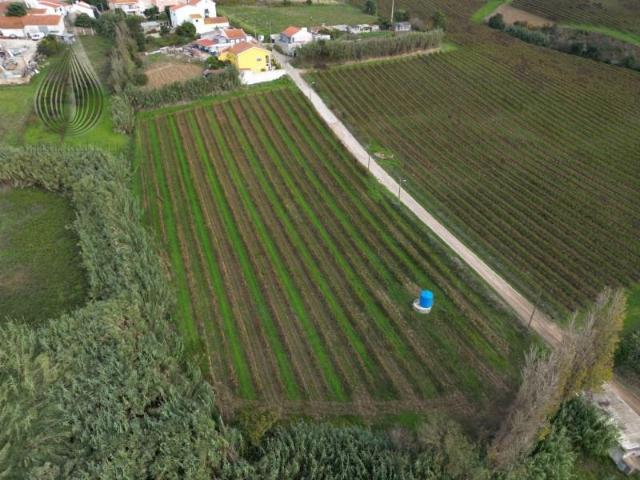 Torres Vedras Torres Vedras LS100188099