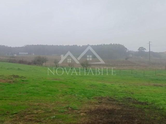 Torres Vedras Torres Vedras LS101485495