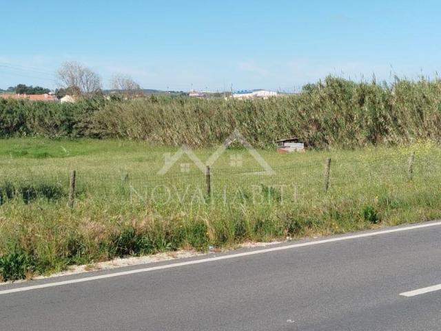 Torres Vedras Torres Vedras LS101600373