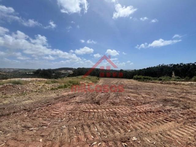Torres Vedras Torres Vedras LS102958543