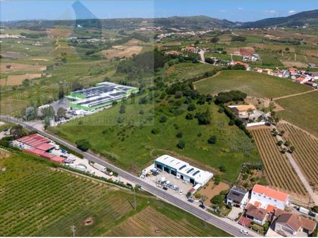 Torres Vedras Torres Vedras LS102066524