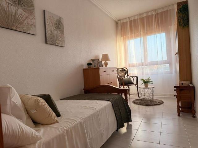 Torrevieja, Valencian Community