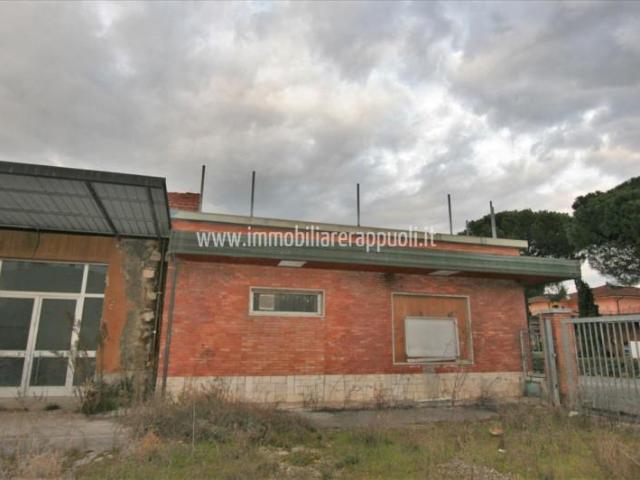Torrita vendesi capannone allo stato grezzo il piano terra è. 2582m² Torrita di siena