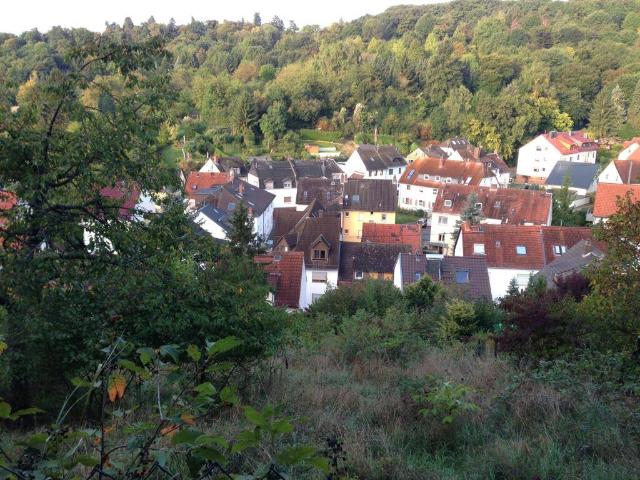 Total Sanierung oder Neubau in Frauenstein