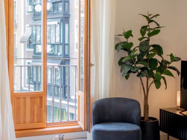 Tout savoir sur cet appartement Madrid