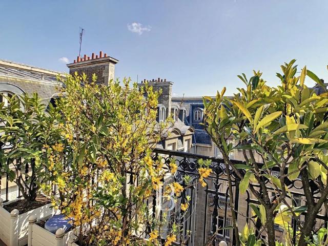 Tout savoir sur cet appartement dans le quartier Chaillot, à Paris 16ème