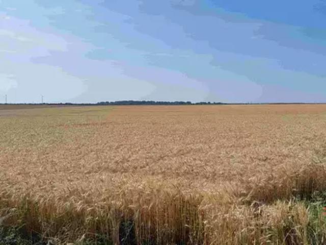 Touvois 44650 Programme neuf terrain neuf à vendre