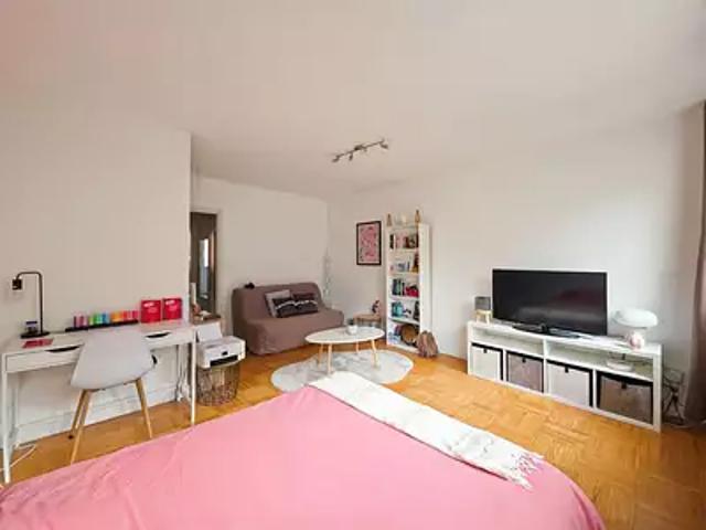 Toulouse 31000 Achat / Vente appartement 1 pièce t1 cave