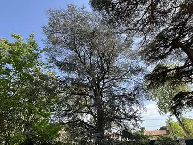 Toulouse 31100 Achat / Vente maison 7 pièces t7 piscine terrasse