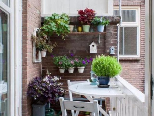 Toulouse Vente Appartement 31