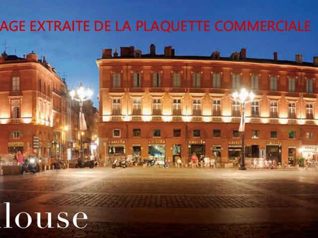 Toulouse Vente Appartement 31