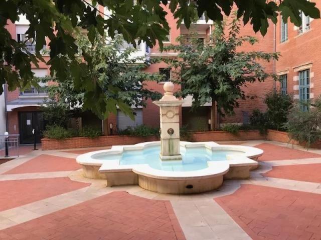 Toulouse Capitole