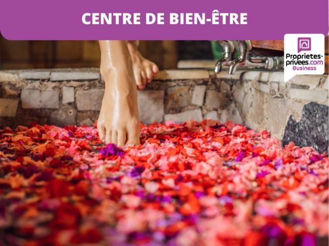 TOULOUSE Chambre romantique avec jacuzzi, secteur Zénith