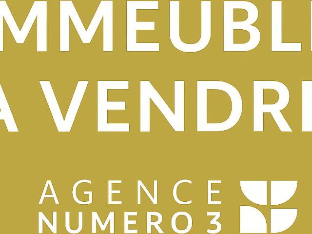 TOULOUSE HYPER CENTRE IMMEUBLE