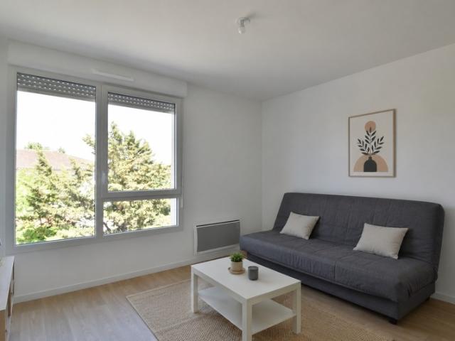 Toulouse Location Appartement 31