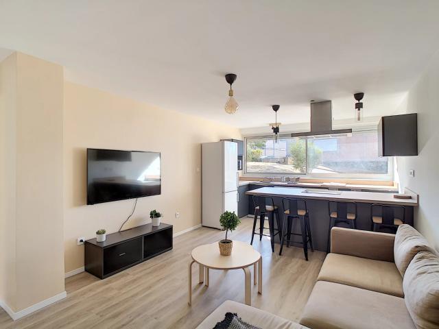 Toulouse Location Appartement 31