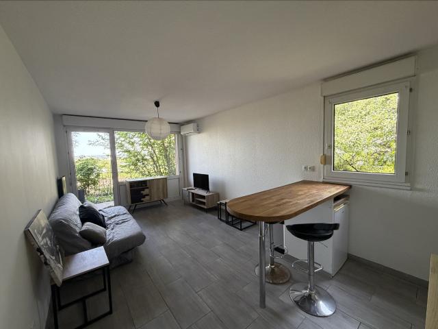 Toulouse Location Appartement 31