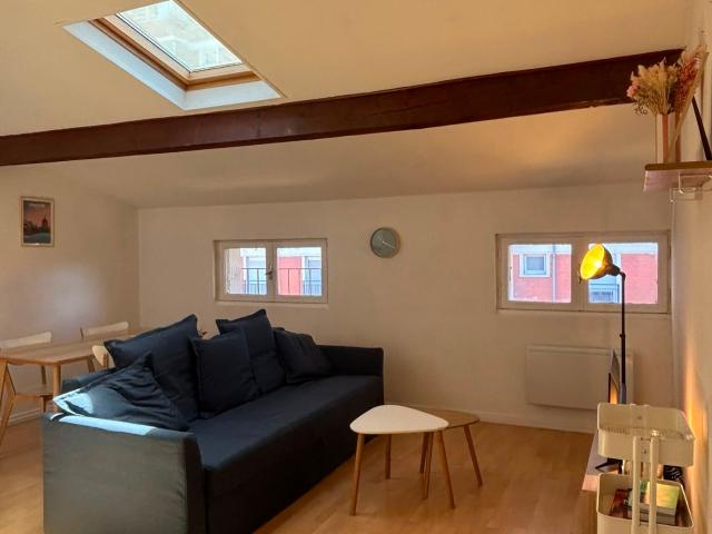 Toulouse Location Appartement 31