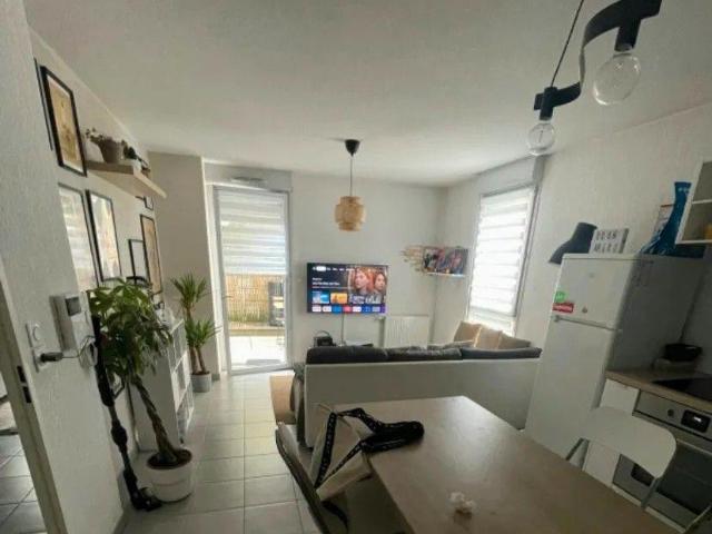 Toulouse Location Appartement 31