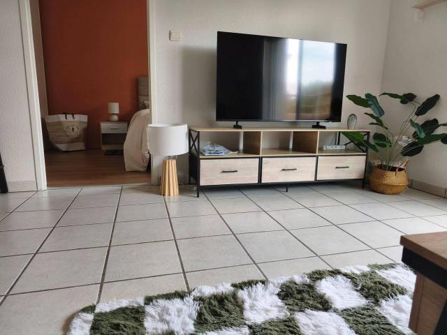 Toulouse Location Appartement 31