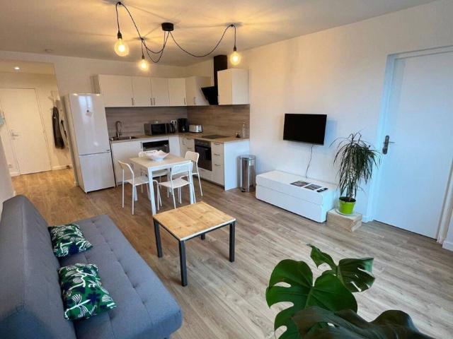 Toulouse Location Appartement 31