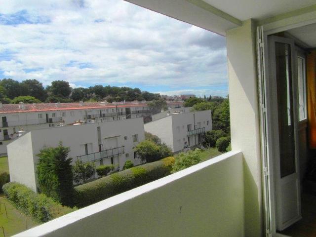 Toulouse Location Appartement 31