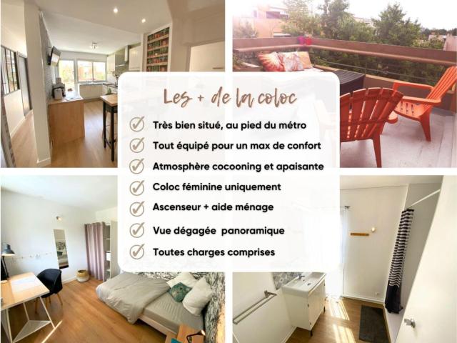 Toulouse Location Appartement 31