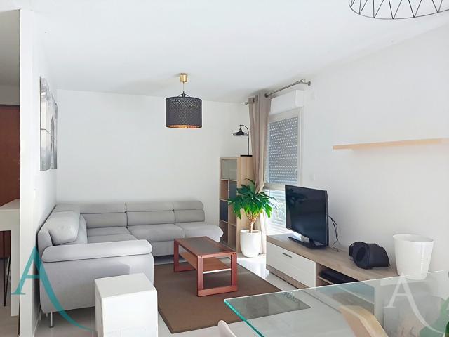 Toulouse Location Appartement 31
