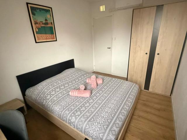 Toulouse Location Appartement 31